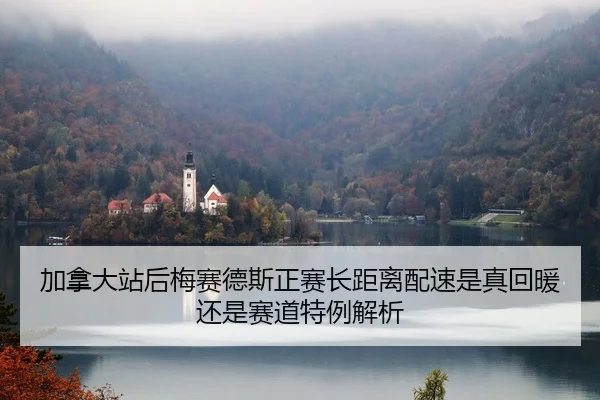 jia-na-da-zhan-hou-mei-sai-de-si-zheng-sai-zhang-ju-li-pei-su-shi-zhen-hui-nuan-hai-shi-sai-dao-te-li-jie-xi-2-154.jpg