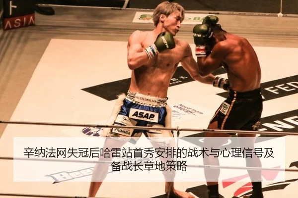 xin-na-fa-wang-shi-guan-hou-ha-lei-zhan-shou-xiu-an-pai-de-zhan-shu-yu-xin-li-xin-hao-ji-bei-zhan-zhang-cao-di-ce-lve-2-359.jpg